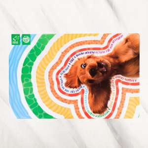 Коврик под миску А что на обед 43*28см