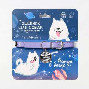 Ошейник для собак N1 Гонщик с адресником ОШ27-34см