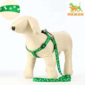 Комплект для собак Косточки и лапки Шлейка 30-44см*1,5см + Поводок 120см*1см зеленый Пижон