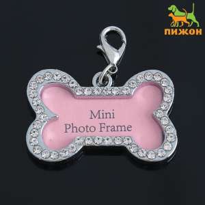 Адресник под записку Косточка 4,3*2,8см Пижон