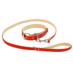 Комплект для собак ошейник 30мм + поводок 1,2м*20мм кожзам двойной Зооник