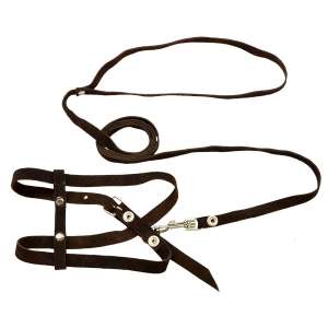 Комплект для кошек №1 шлейка + поводок 12мм спилок велюр Зооник