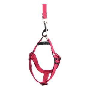 Комплект для собак средних пород шлейка + поводок 2м стропа 20мм Зооник*5