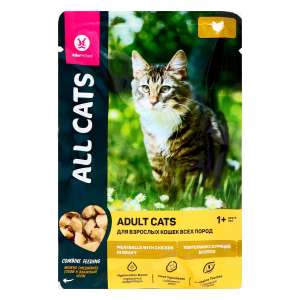 Олл Кэтс/All Cats пауч корм для стерилизованных кошек Тефтельки с курицей в соусе 85гр*28