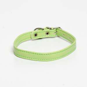 Ошейник для собак экокожа салатовый 26-34см*1,4см