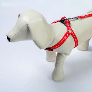 Комплект для собак Шлейка 36-49см*1,5см + Поводок 120см*1,5см капрон Keep calm & carry on