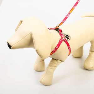 Комплект для собак и кошек Ты и я шлейка 26-39см +поводок 120см*1см +медальон Пижон