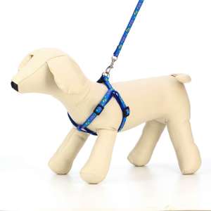 Комплект для собак и кошек Цветные следы шлейка 23-35см поводок 120см*1см синий Пижон