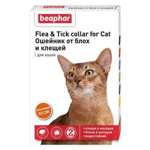 Беафар ошейник для кошек оранжевый*12