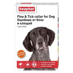 Беафар ошейник для собак оранжевый *12