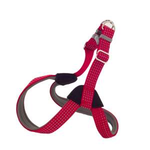 Шлейка нейлон Премиум светоотражающая неопреновый подклад 25мм 31-37*36-43см красный Каскад