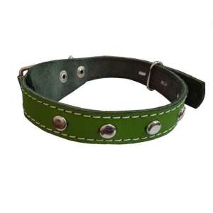 Ошейник кожа 20мм/53см 1 слой цветной с украшением ZooMoDa