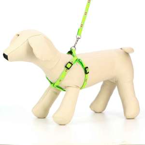 Комплект для собак и кошек Цветные следы шлейка 23-35см +поводок 120см зеленый Пижон