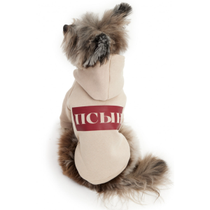 Толстовка с капюшоном LPK-0431 р.2XL, спинка 43см псын LION 