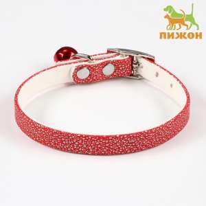 Ошейник Андромеда 31см*1см искусственная кожа цвет в асортименте Пижон