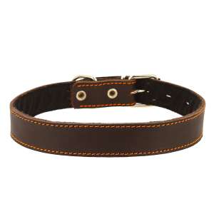 Ошейник кожаный с синтепоном 35мм 50-59см Каскад