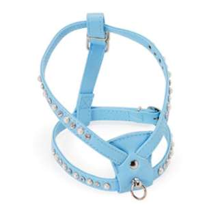 Шлейка для собак со стразами голубая LION
