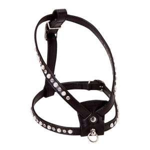 Шлейка для собак со стразами черная LION