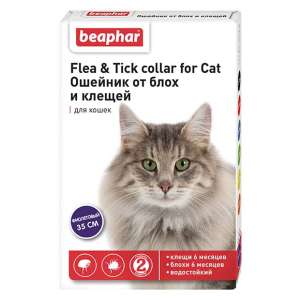 Беафар ошейник для кошек фиолетовый *12