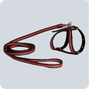 Комплект для собак мелких пород Шлейка + поводок 1,5м*14мм капрон Зооник