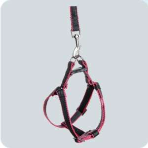 Комплект для собак средних пород шлейка + поводок 2м капрон 20мм Зооник*5