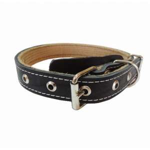 Ошейник кожа 25мм/59см 1 слой с подкладом ZooMoDa