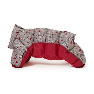 Комбинезон для собак LionPets Animal унисекс рM спинка 24*32*41 LION