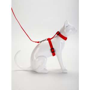 Комплект для кошек шлейка ОШ16,5-27см ОГ21-35см + поводок 120см*1,5см красный Пижон 