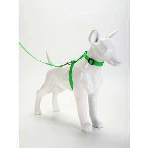 Комплект для кошек шлейка ОШ16,5-27см ОГ21-35см поводок 120см зеленый Пижон