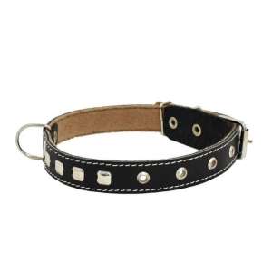 Ошейник кожа 25мм/59см 1 слой с подкладом украшенный ZooMoDa для собак