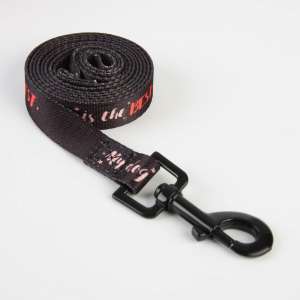 Поводок My dog is the best 2м*2см Пижон