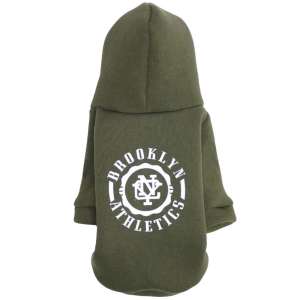 Толстовка с капюшоном LMK-0339 р.S, спинка 23см rock LION 