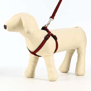 Комплект для собак рельефный шлейка 36-49см +поводок 120см**1,5см красно-черный Пижон