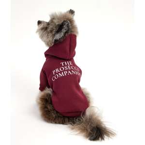 Толстовка с капюшоном LPK-0434 р.L, спинка 29см красная LION 