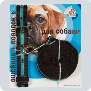 Комплект для собак ошейник 37-51см*25мм + поводок 2м капрон Зооник