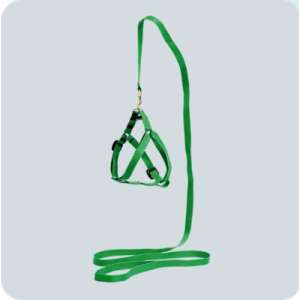 Комплект для собак шлейка + поводок 1,5м стропа 14мм Зооник*5