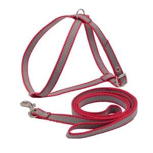Комплект для кошек поводок12ммх120см+шлейка 12мм 20/28см капрон Каскад