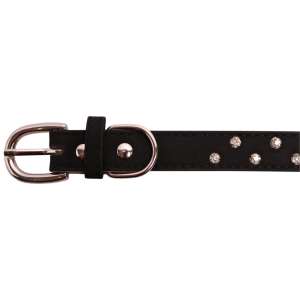 Ошейник для собак со стразами 2*37см черный LION