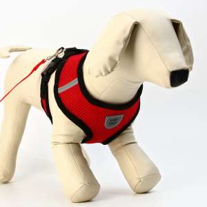 Комплект шлейка +поводок рL ОШ35см ОГ38-50см красная Пижон