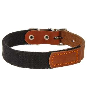 Ошейник брезентовый с кожей 20 мм 31-39 см Каскад