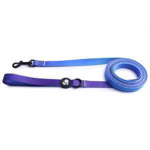 Поводок для собак LionPets с рисунком из полиэстера LP-700-6