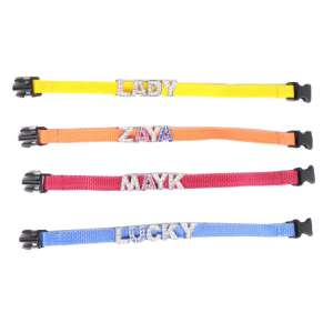 Ошейник для собак Буквы цвета в ассортименте LION