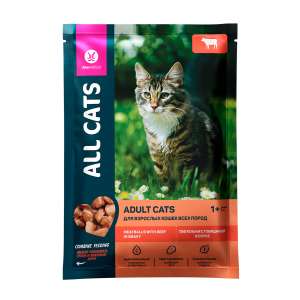 Олл Кэтс/All Cats пауч корм для кошек Тефтельки с говядиной в соусе 85гр*28