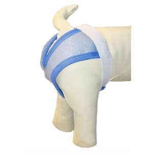 Трусы гигиенические для собак рS талия 28-44см длина 29см многоразовые ABSORB