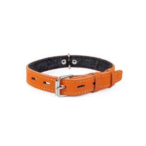 Ошейник кожа с подкладом + кольцо 25мм/42--52см Зооник