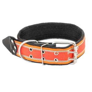 Ошейник для собак синтетический ECO Колибри 30мм на фетре укороченный 40-52см красный Дарэлл