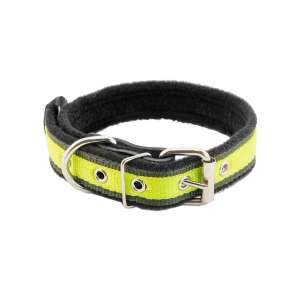 Ошейник для собак синтетический ECO Колибри 30мм на фетре укороченный 40-52см неоновый Дарэлл