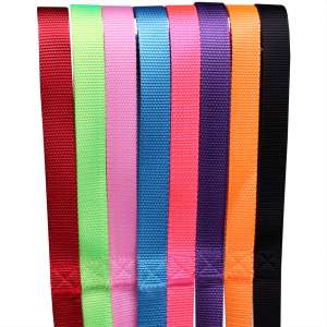 Поводок для собак LionPets LPP-145-4 (Голубой) (Размер 4 ширина 2,5 см, длина 3,0 метра)LION