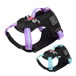 Шлейка для собак нейлоновая металлическая пряжка-фастекс с QR 25мм грудь 65-85см WauDog CoLLaR