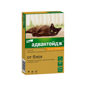 Адвантейдж 40 для кошек и котят до 4кг, 1пипетка.*4 в уп. с 4 недель (от блох, вшей, власоедов)